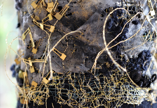 Kunstwerk der Susanne Oelschläger